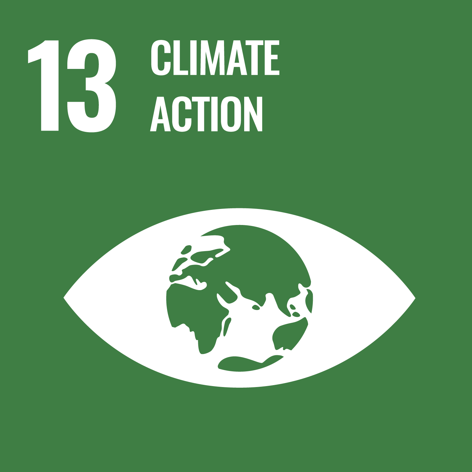 the phrase 13 climate action in white on a green background